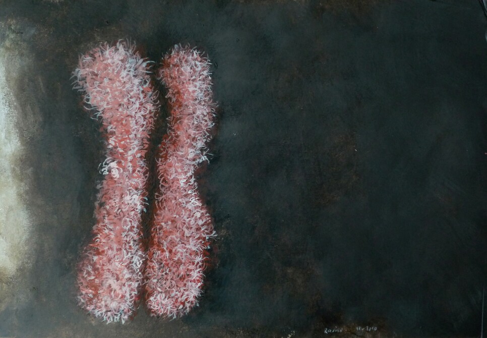 Click to See Next Image